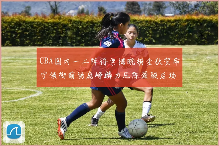 CBA国内一二阵得票揭晓胡金秋贺希宁领衔前场庞峥麟力压陈盈骏后场